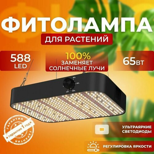               Quantum board 65  588 LED  -     , -,   