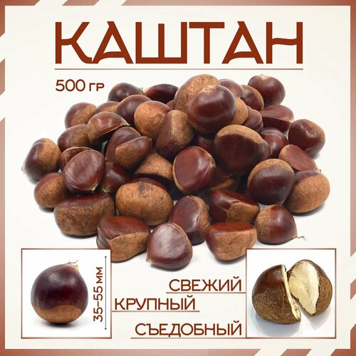 ���� ����� ������� 500�