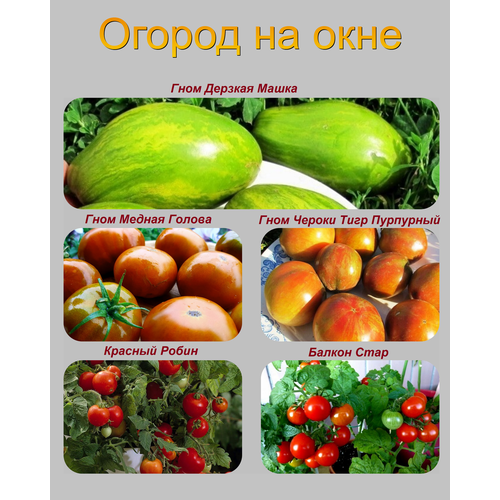 ���� ����� ������������� ����� ��� ��������� �������