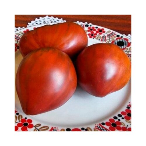 ���� ������������� ������ ������ ׸���� ������ �����