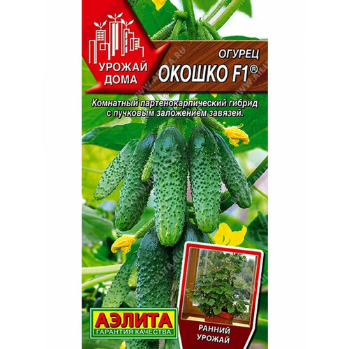 ���� ������ ������ 