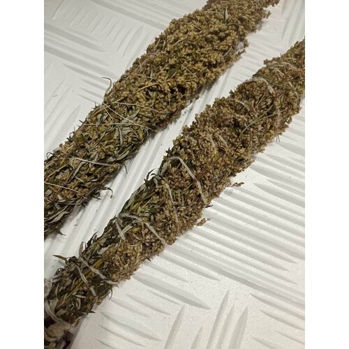 ���� ������� �� ������ ������������ 35 ��. ������ ��������� �������. ���������� ���������, ������ �������.