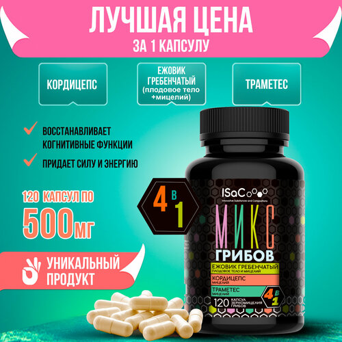 ���� ���� ������ ������ �����������, ���������, �������� 120 ������ �� 500 �� ������� � �������� �����