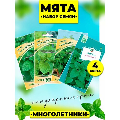 ���� ����� ����� ���� 4 �����