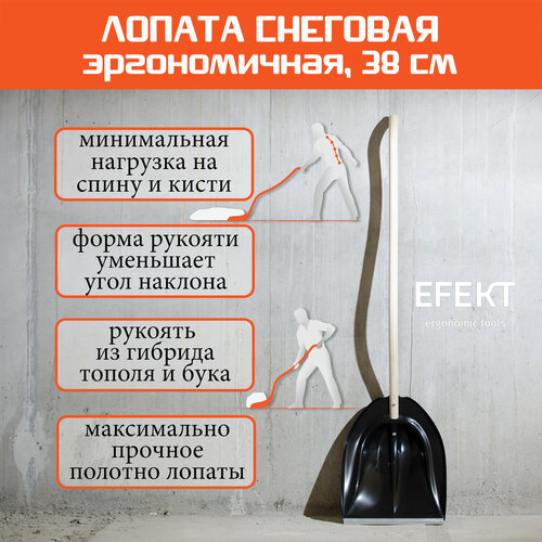 ���� ������ �������� ������������ EFEKT PRO W38