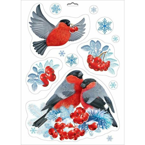 ���� ���������� �������� �� ���� 