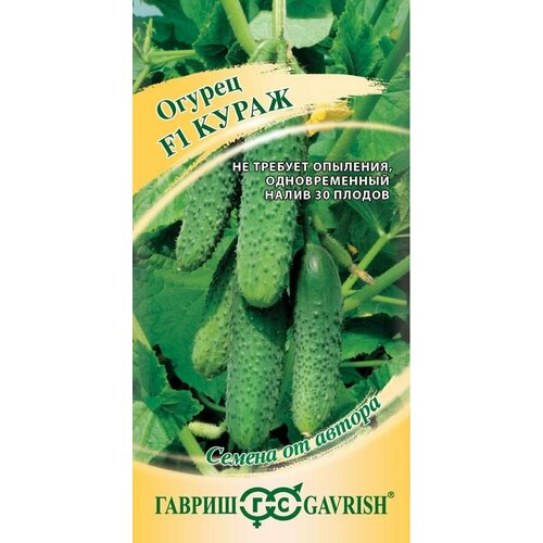 ���� ������ ������ ����� F1 10�� ������������������ ������ (������) �����