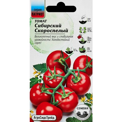 ���� ������ ������ ����� ��������� �����������