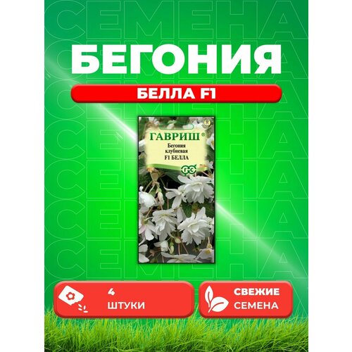 ���� ������� ��������� ��������� ����� F1, 4��, ������