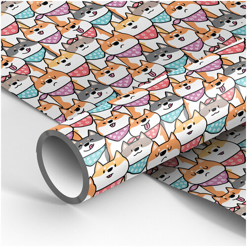 ���� ����������� ������ �����. 70?100��, MESHU ���� �����, 80�/�2