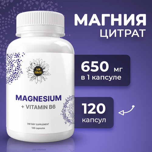 ���� ������ ������ � ������� �6 ��� ������� �������, 120 ������