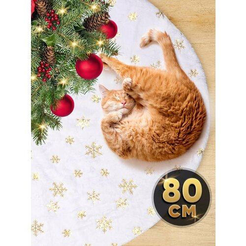 ���� ������ ��� ���� ���������� ���� ��� ���� �����, 80 ��