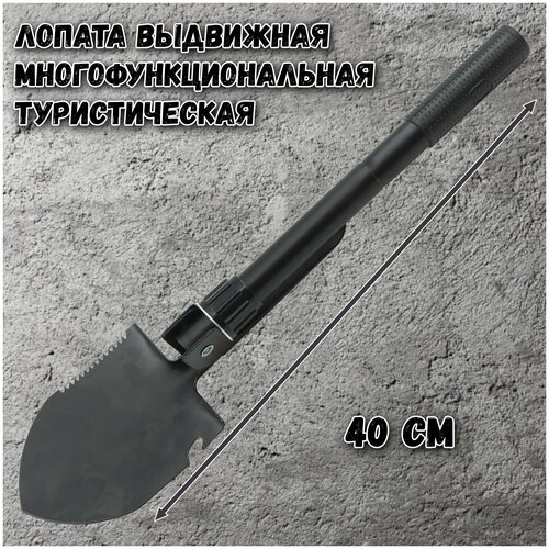 ���� ������ ��������� ������������� 40 �� � ������ ������������������� ��������(������, ����������, �����, �������) �����