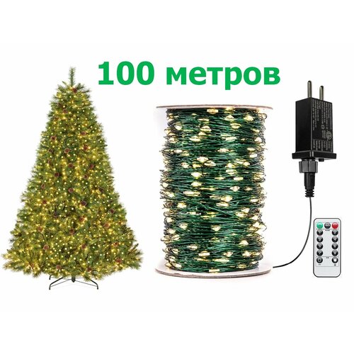 ���� ��������������� ���� ������������ ���� ������� 100 �. ��� ��������, ���� Ҹ���� ����� (������ ������)