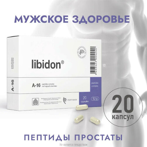 ���� ������� ����., 0.2 �, 20 ��., 1 ��.