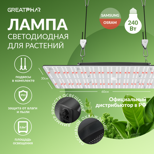   LED- sunlike- GreatPhar LED DZ32 240   -     , -,   