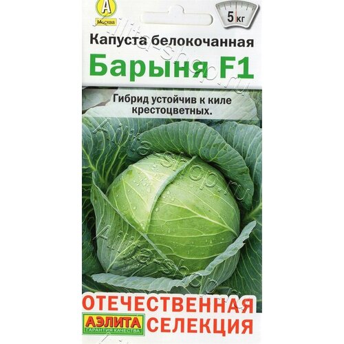 ���� ������ ������� ������ 