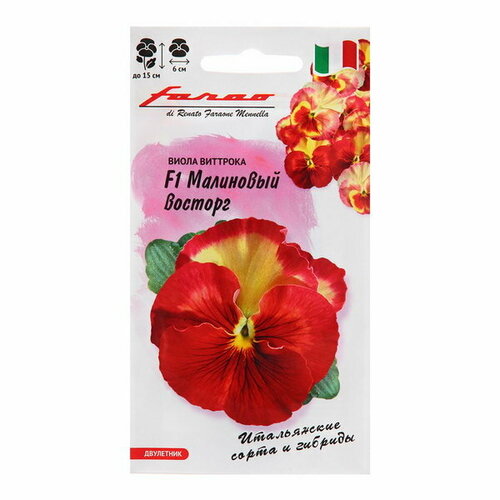 ���� ������ ����� 