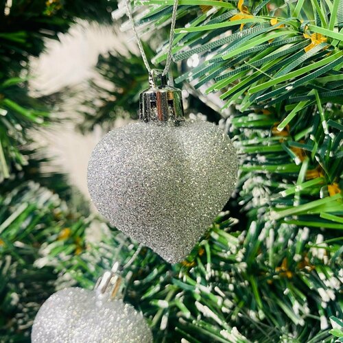 ���� ����� ������� ������� 