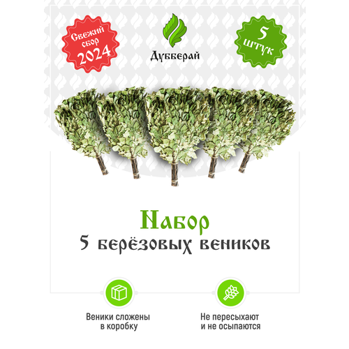 ���� ����� ��� ���� �������� 5 ����