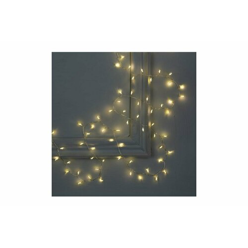 ���� �������� 