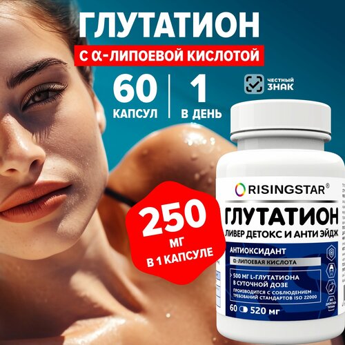 ���� ��������� �����-�������� �������, 500��