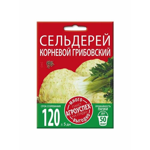 ���� ��������� ���������� ��������, ������ �����-������� 2�