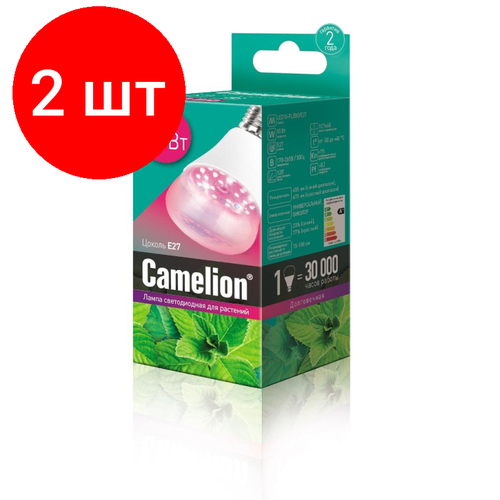    2 ,     Camelion LED10-PL  -     , -,   