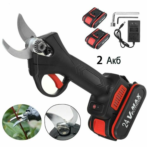 ���� �������������� ������������� ������� ��������