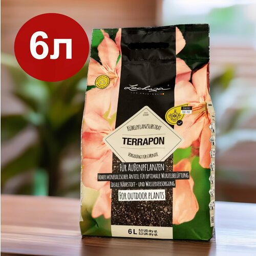           LECHUZA TERRAPON 6   -     , -  