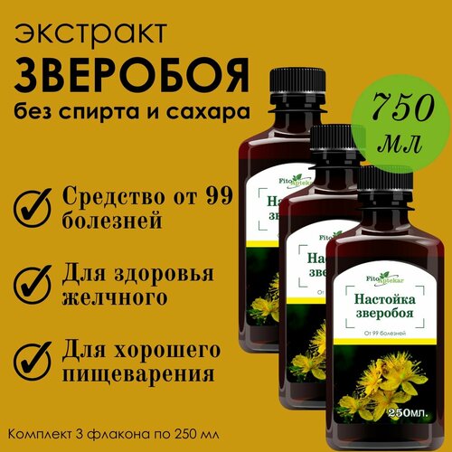 ���� �������� �������� 