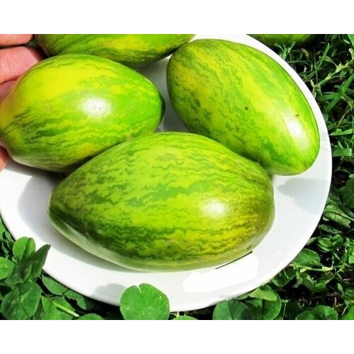 ���� ���� ������� ����� ������ �������