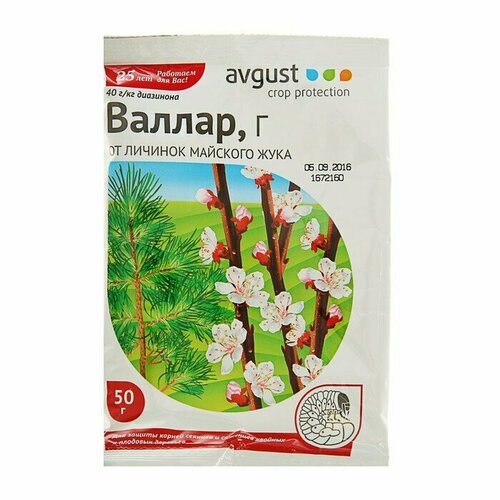 ���� �������� �� ������� �������� ����, ������������ � ����������������� ������ 50 �