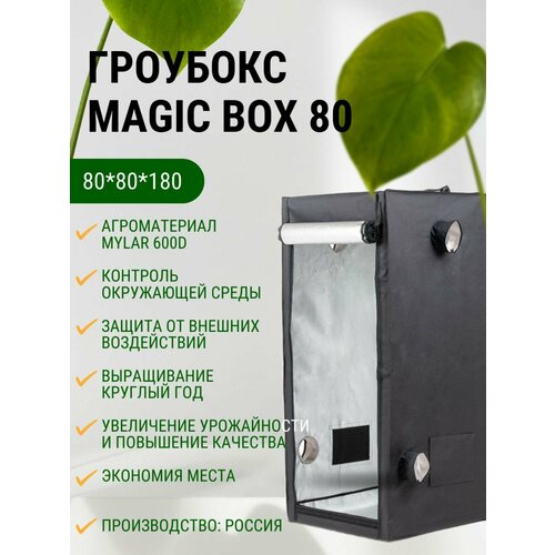    MagicBox 80 (80*80*180 )  -     , -  