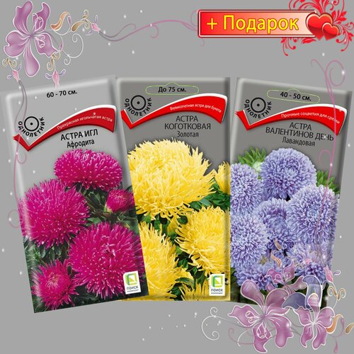 ���� ����� ����� ������ �����, ��� ��������, ���������� �������, ���������� ���� ���������� 3��.