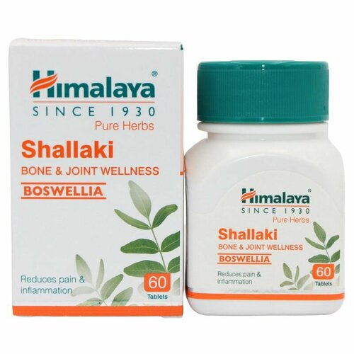    ()  / Shallaki Himalaya, 60   -     , -  