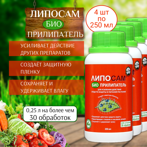 ���� ����������� ������� 250 ��, 4 ��