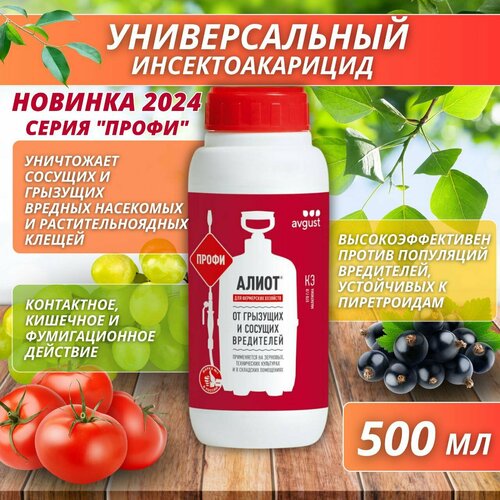 ���� ����� ����� ������������� ���������� �� �������� � ������� ���������� 500 ��