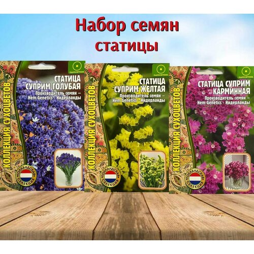 ���� ������ ���������� ������ ������� �������, ������, ���������. ���������. ����� 3 ��������