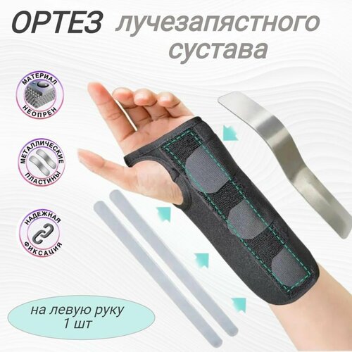 ���� ������ �� ������������� ������ � ������������� �����, ����� L