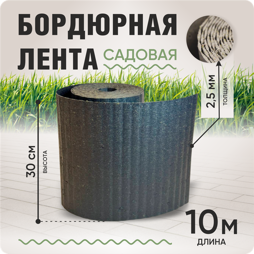 ���� ��������� ����� ������� 30 ��, ����� ������ 10 �, ������� 2-2,5 ��, ����� ������