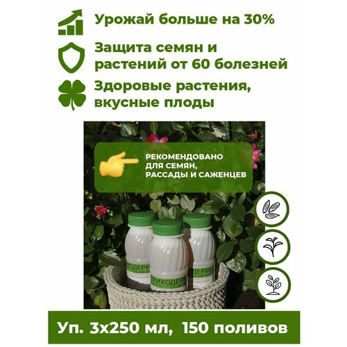 ���� ���������� ���������� - ����������� ������ 3 ���. �� 250�� ����������� ��������� ��� �������� ������ ����. ����� �������� �� ����� 60 ��������, �������� ����������� �� 30%.