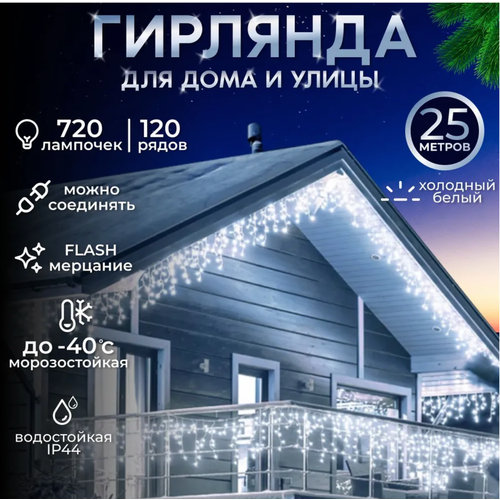 ���� ��������������� ������� �������, ������ �����, 25 ������