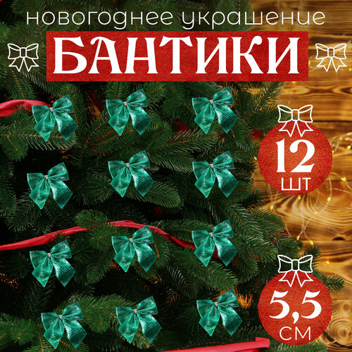 ���� ����� �� ���� ������� 12�� 5,5��