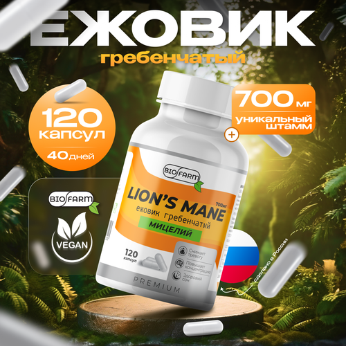 ���� ������ ����������� 700��, ������� ������ �������, lions mane