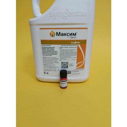 ���� ������������ ������ 10 ��