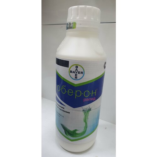 ���� ������ ����� 1�