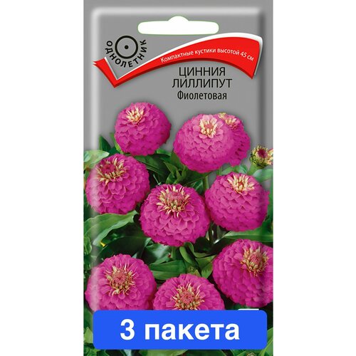 ���� ����� ������ �������� ���������� 3 ������