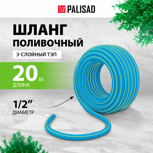      Palisad 3   1/2' 20 ,  67106  -     , -  