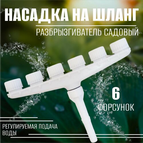 ���� ������� �� ����� ��� ������ 6 ����, ��������������� �������